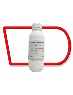 PRINCIPAL 2