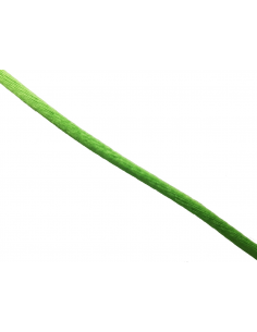 MTS. COLA DE RATÓN VERDE...