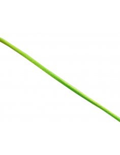 MTS. COLA DE RATÓN VERDE...